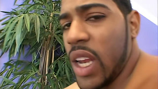 Renae Cruz Insasiable Slut with More Desires