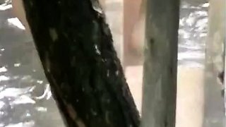 Sensuous amateur ex girlfriend hidden cam