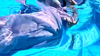 Big boobs milf masturbates with her dildo