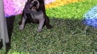 Rebels of the College - Part 6 - Ultra Bikini Sexy Girls Party by Loveskysan69