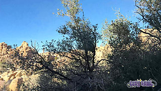 The Adventures of Lety Howl, Episode 12: Usa Road Trip