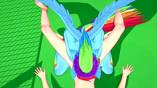 Rainbow Dash Gives Blowjob in POV - My Little Pony Friendship Is Magic Hentai Parody