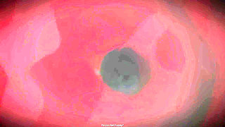 B021 Giantess Titty Fuck Farting Face Sitting Man Shrunk and Trapped in Woman's Vagina Pussy Swallowing Full Version