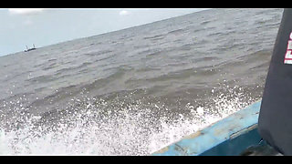 A Journey Through the Sea