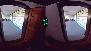 Porn: Blowjob, Doggy  Cowgirl VR Porn