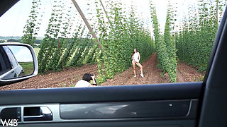 In Czech Agriculture