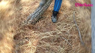 Walking Forest - Video for Fans with Slowmotion