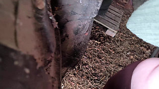Real Red Slapped Tits in the Barn
