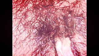 Macro Perspective Extreme Close-up with Micro Camera