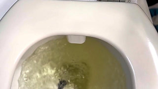Flushed Away by Giant stepmommy