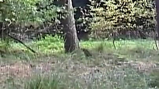 Big boobs babe sent to forest naked