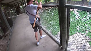 Crocodile feeding and pussy pleasing