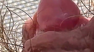 Amateur Hairy Girl Mastubates in Closeup with Huge Clit