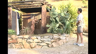 The Sensual Body of the Young Woman