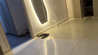 Riding and riding my stepbrother's cock