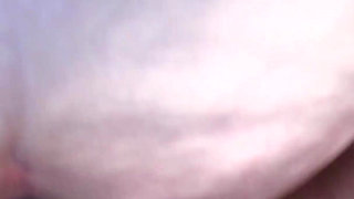 Breeding Celestina in Nature