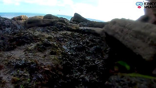 Mermaid Spotted! Wet Encounter in Lost Cove