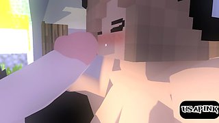 animated Minecraft porn video -- animation Sex