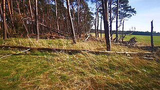 Boobs Banging in the Old House