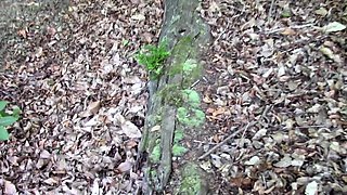 Amateur ass rammed outdoors