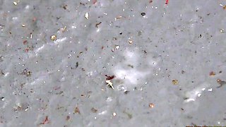 CFNM babes cockuskcing in glory hole