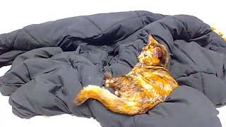 CLOSE UP OF TEENS PARADISE