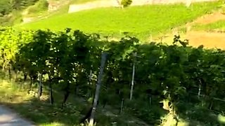 Amateur French Teen Outdoor softcore