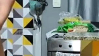 Maid Receives Attention From Her Boss.