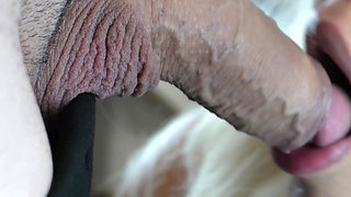 Closeup: Sucking a Fat Cock