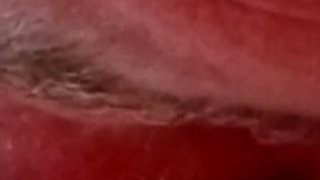 Fuck the Old Nylon Feet and the Old Nylon Cunt