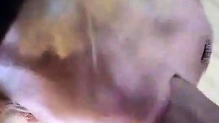 Danish Blondes Sloppy Blowjob og Ansigtsbehandling