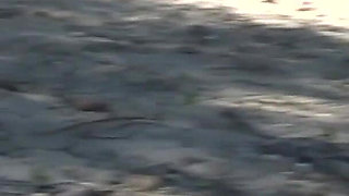 Young Rita River Side Casting