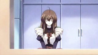 Watch harmonious queen bee's dirt