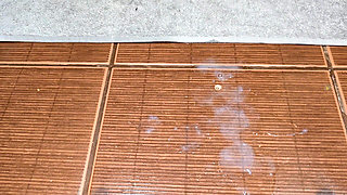 We Can Share the Bathroom but Fuck Me First, Just Don't Get Me Pregnant