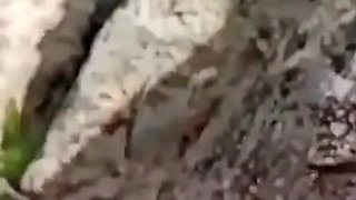 Fucked in the Field 2
