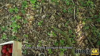 Forest strawberry bet led to a fire rail