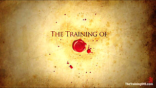 Skin Diamond Day Three Slave Ransom Sexual Training